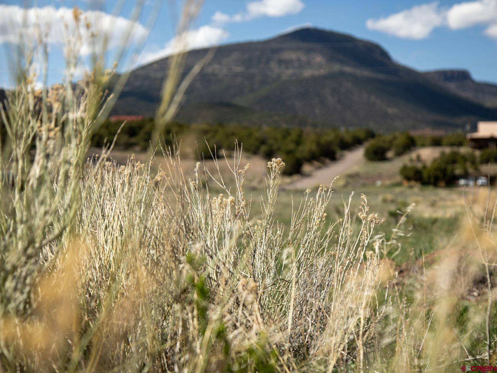 127 Browns Road South Fork, CO 81154 - Photo 12 of 44 a view of outside area