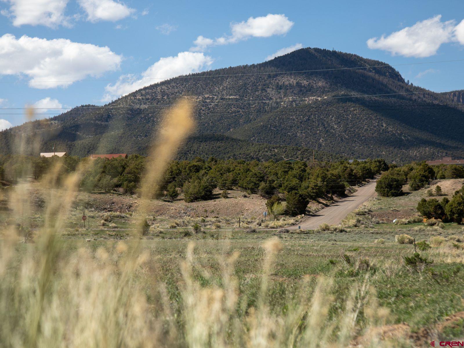 127 Browns Road South Fork, CO 81154 - Photo 15 of 44 a view of a dry yard