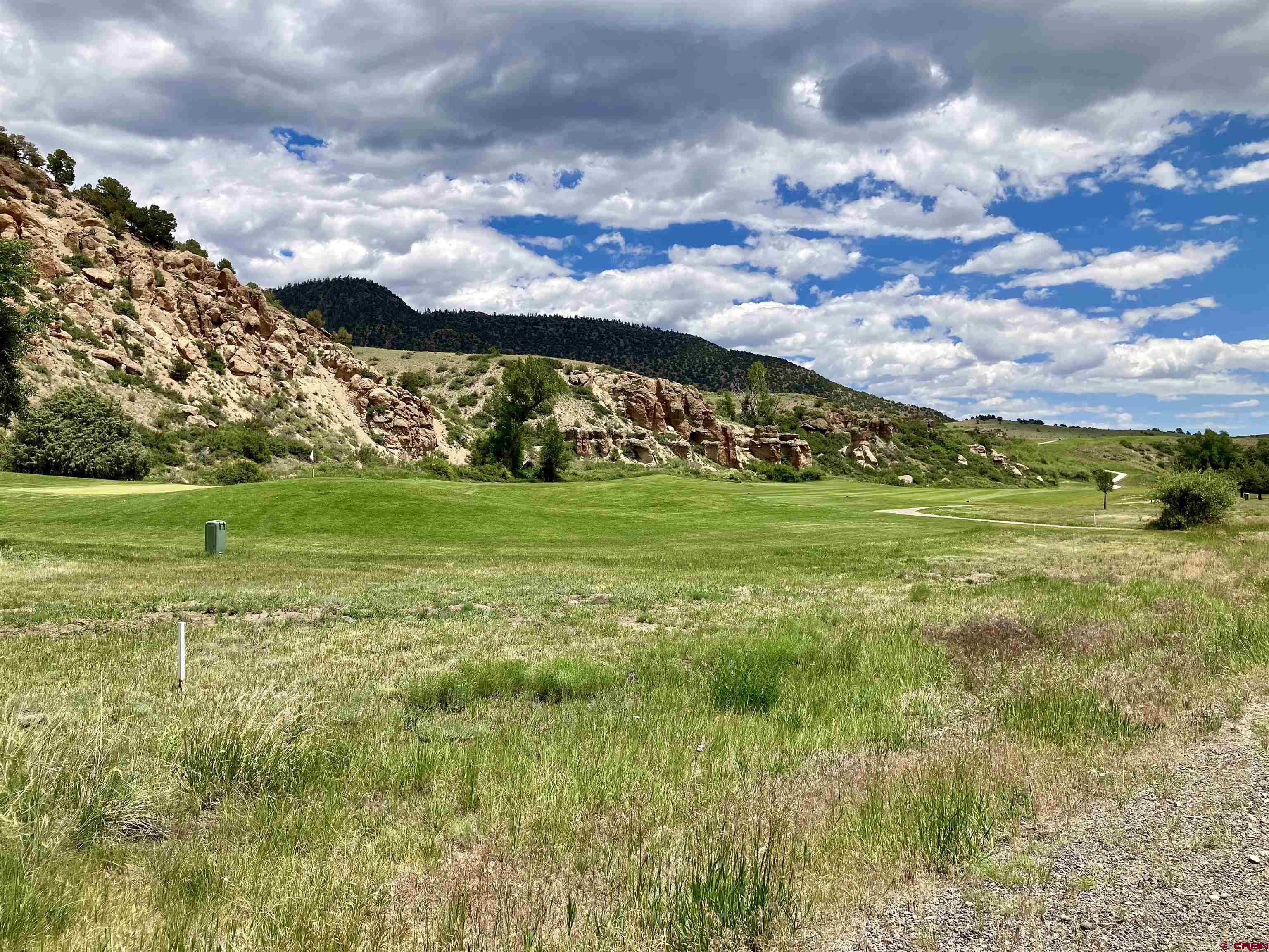 127 Browns Road South Fork, CO 81154 - Photo 27 of 44 a view of a big yard with a large tree and plants