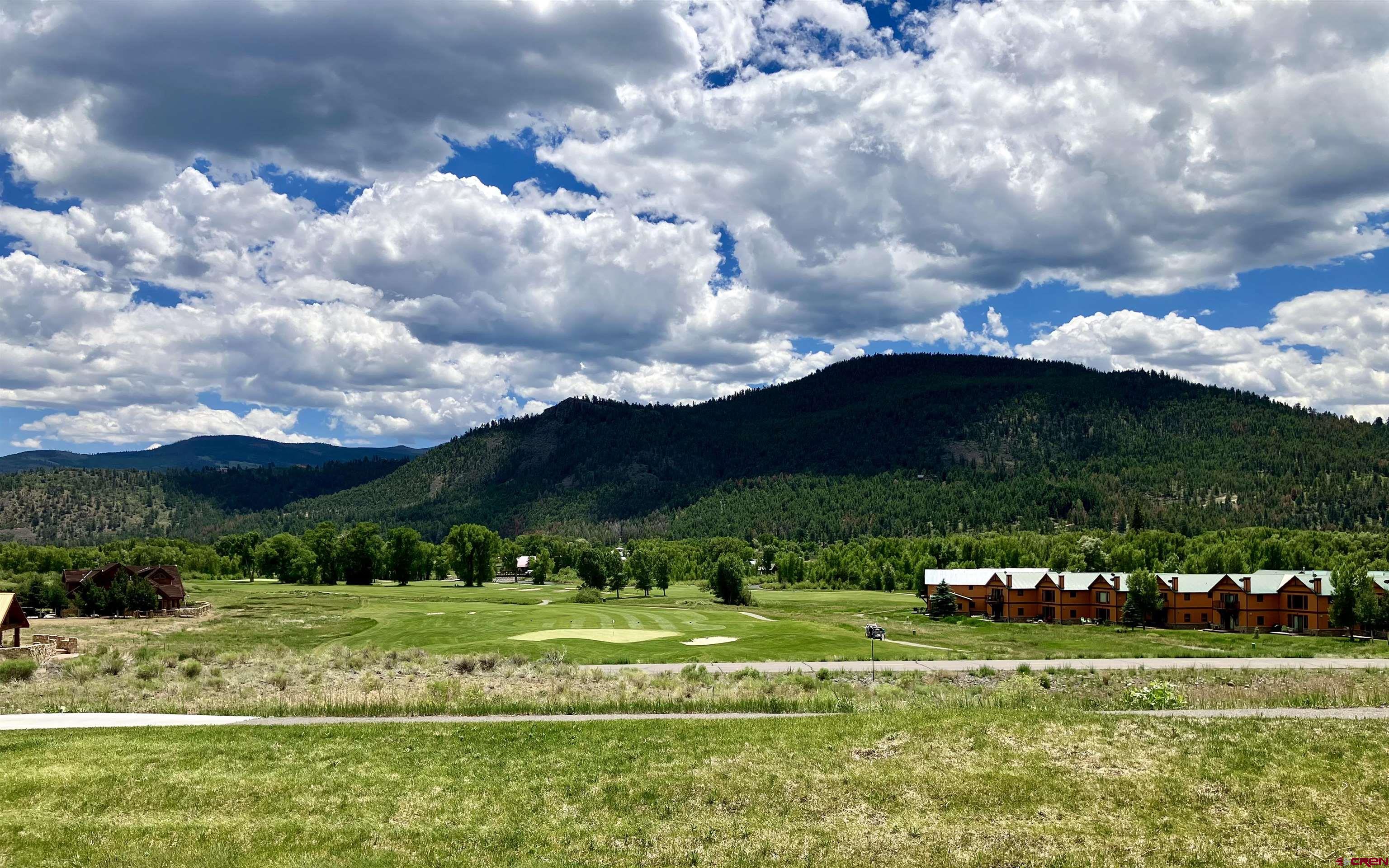 127 Browns Road South Fork, CO 81154 - Photo 28 of 44 a view of a big yard with potted plants and large tree