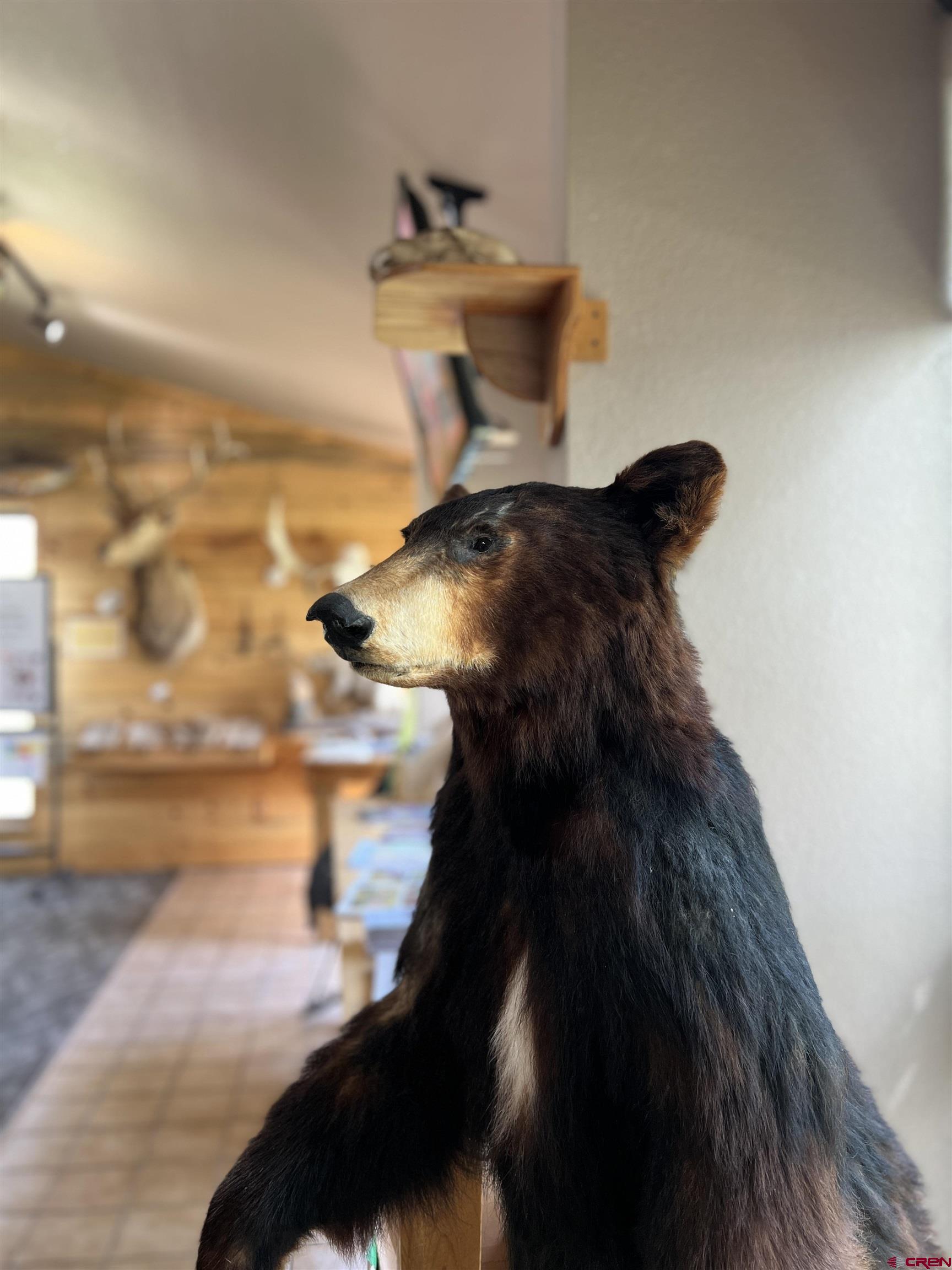 127 Browns Road South Fork, CO 81154 - Photo 33 of 44 a close up of a painting on the wall