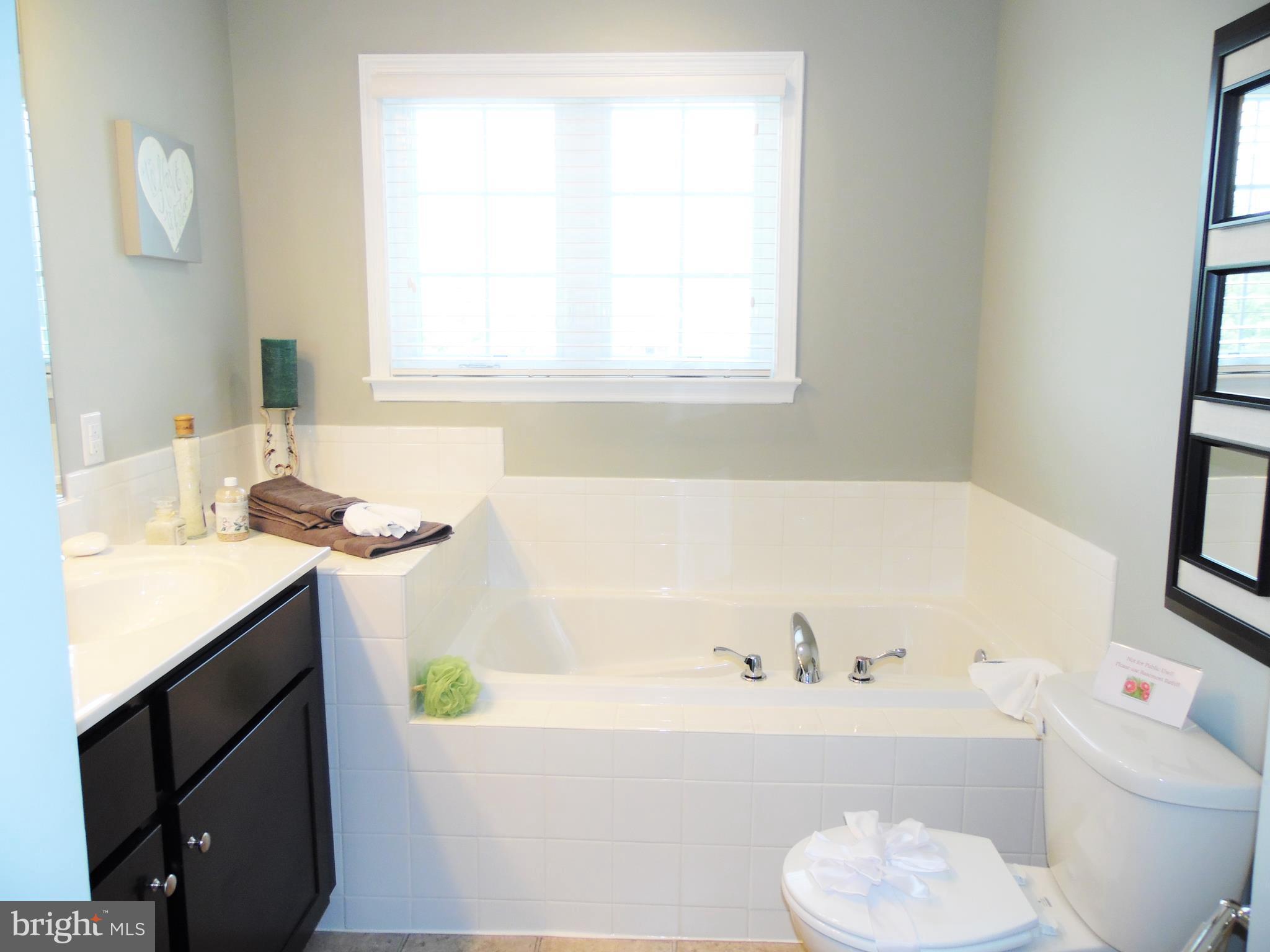 581 Thumper Drive Ranson, WV 25438 - Photo 14 of 21 Bath (Master)** SIMILAR CONSTRUCTION**