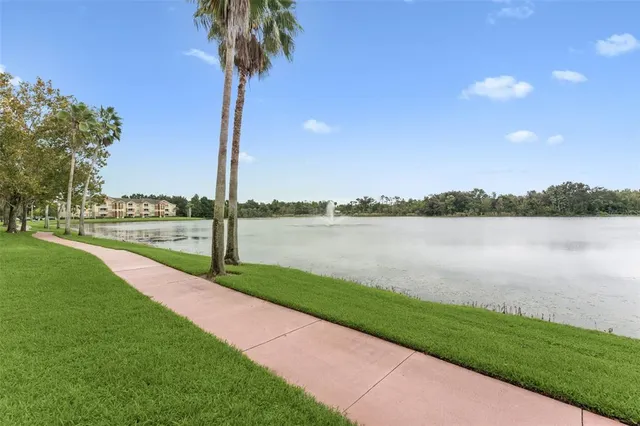a view of a lake with a big yard and palm trees