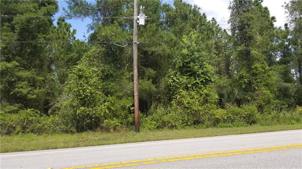 Doyle Road Deltona, FL 32738 - Photo 1 of 1 a view of a yard from a window