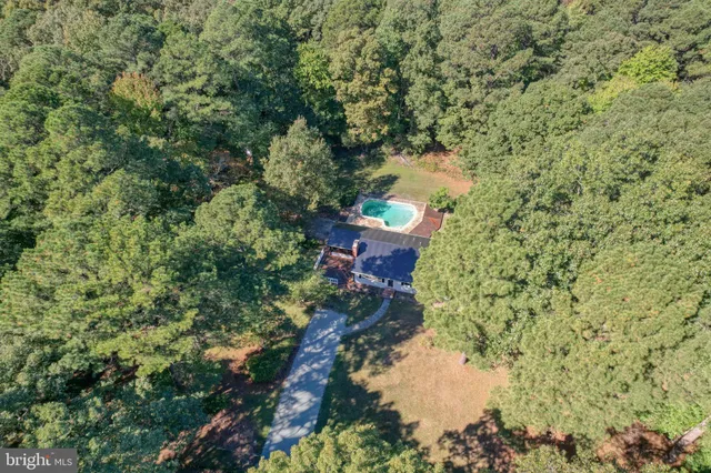 a view of a field with an ocean