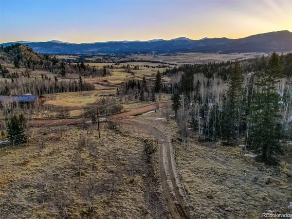 a view of a dry yard with wooden fence