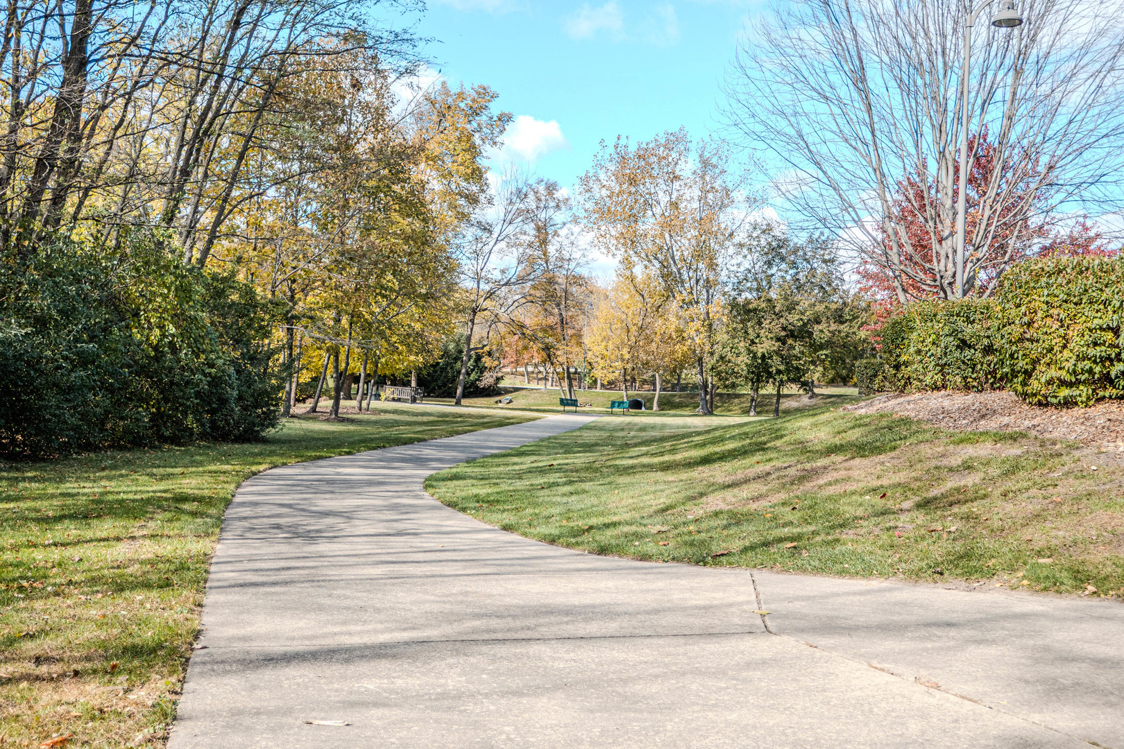 801 North McLean Boulevard, Unit 320 Elgin, IL 60123 - Photo 35 of 37 a park view with large trees