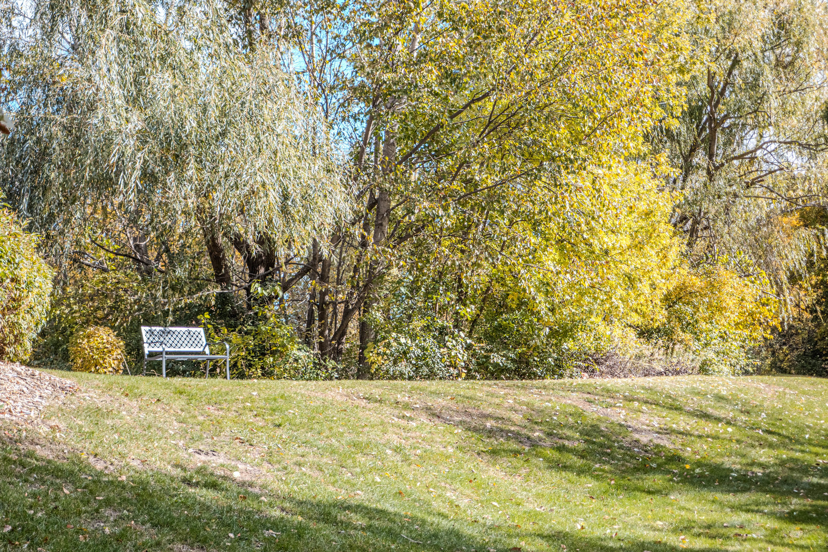 801 North McLean Boulevard, Unit 320 Elgin, IL 60123 - Photo 36 of 37 a view of outdoor space and yard