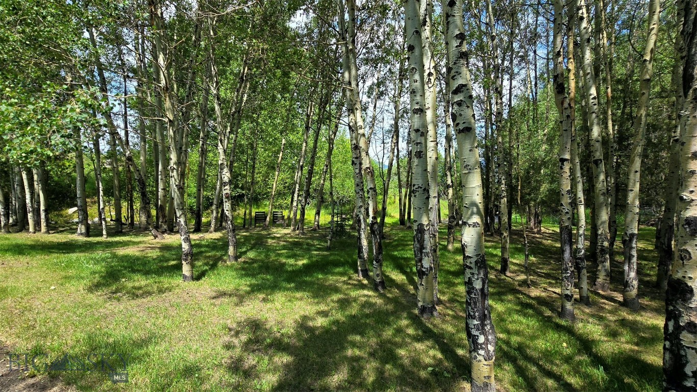 81 Mill Creek Road Sheridan, MT 59749 - Photo 17 of 98 Gallery Image 17