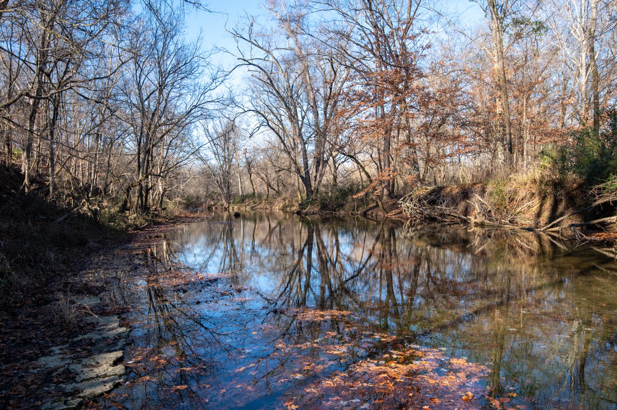 750 Upper Station Camp Creek Road Cottontown, TN 37048 - Photo 69 of 71 a backyard of a house with lots of green space