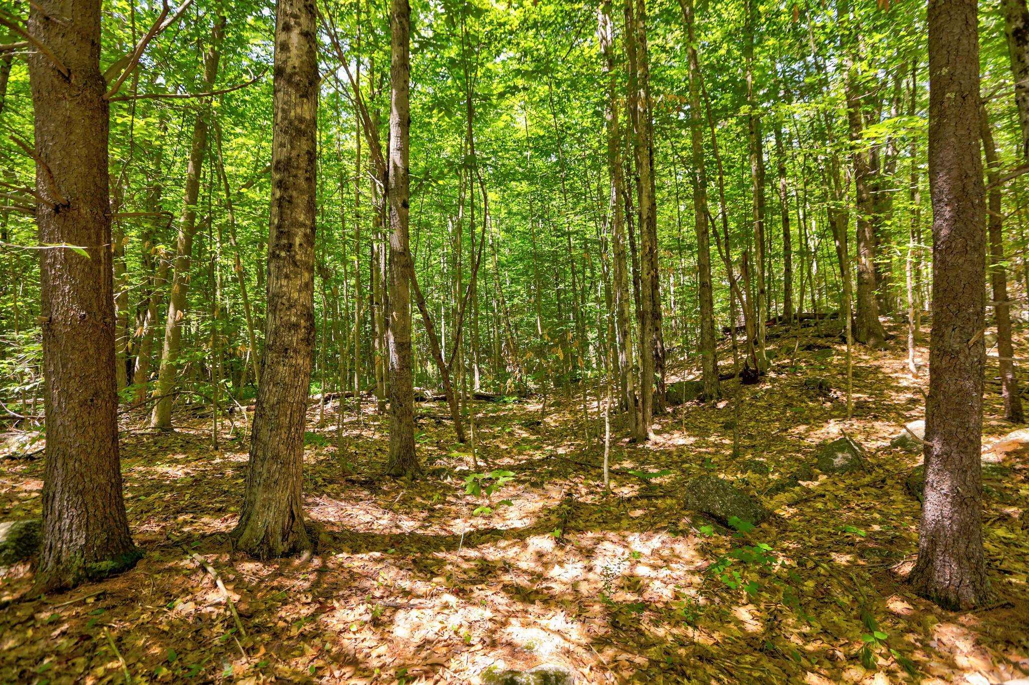Lot 12-2 Needle Eye Road Meredith, NH 03253 - Photo 21 of 22
