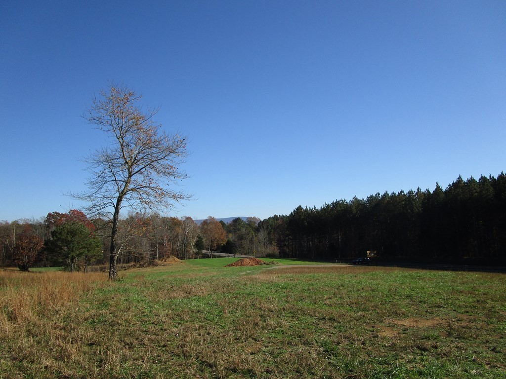 0 Hwy 163 Riceville Tn 37370 Riceville, TN 37370 - Photo 8 of 11