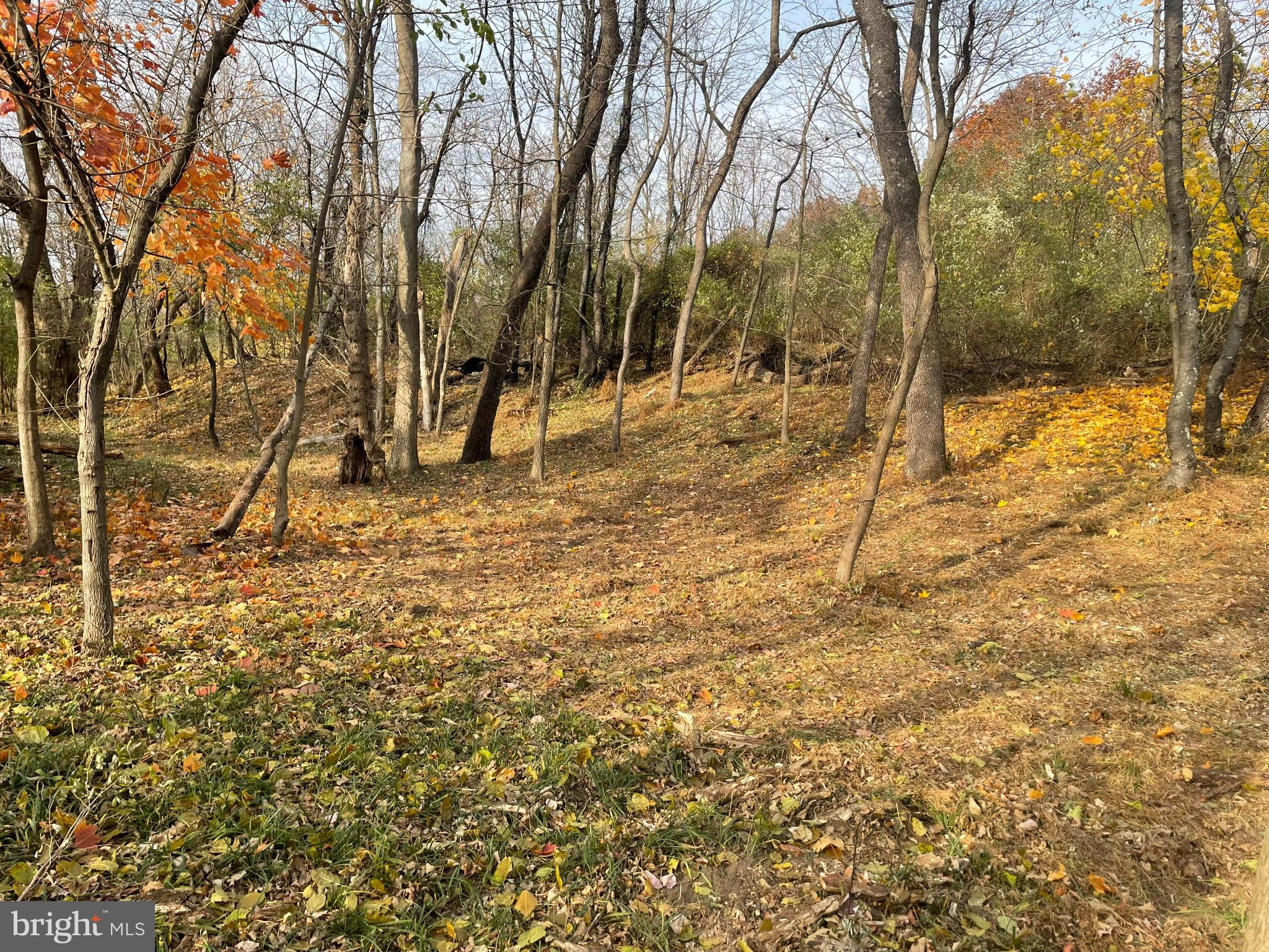17 Cromby Road Phoenixville, PA 19460 - Photo 1 of 5 Beautiful view of 1-acre land zoned as mixed-use
