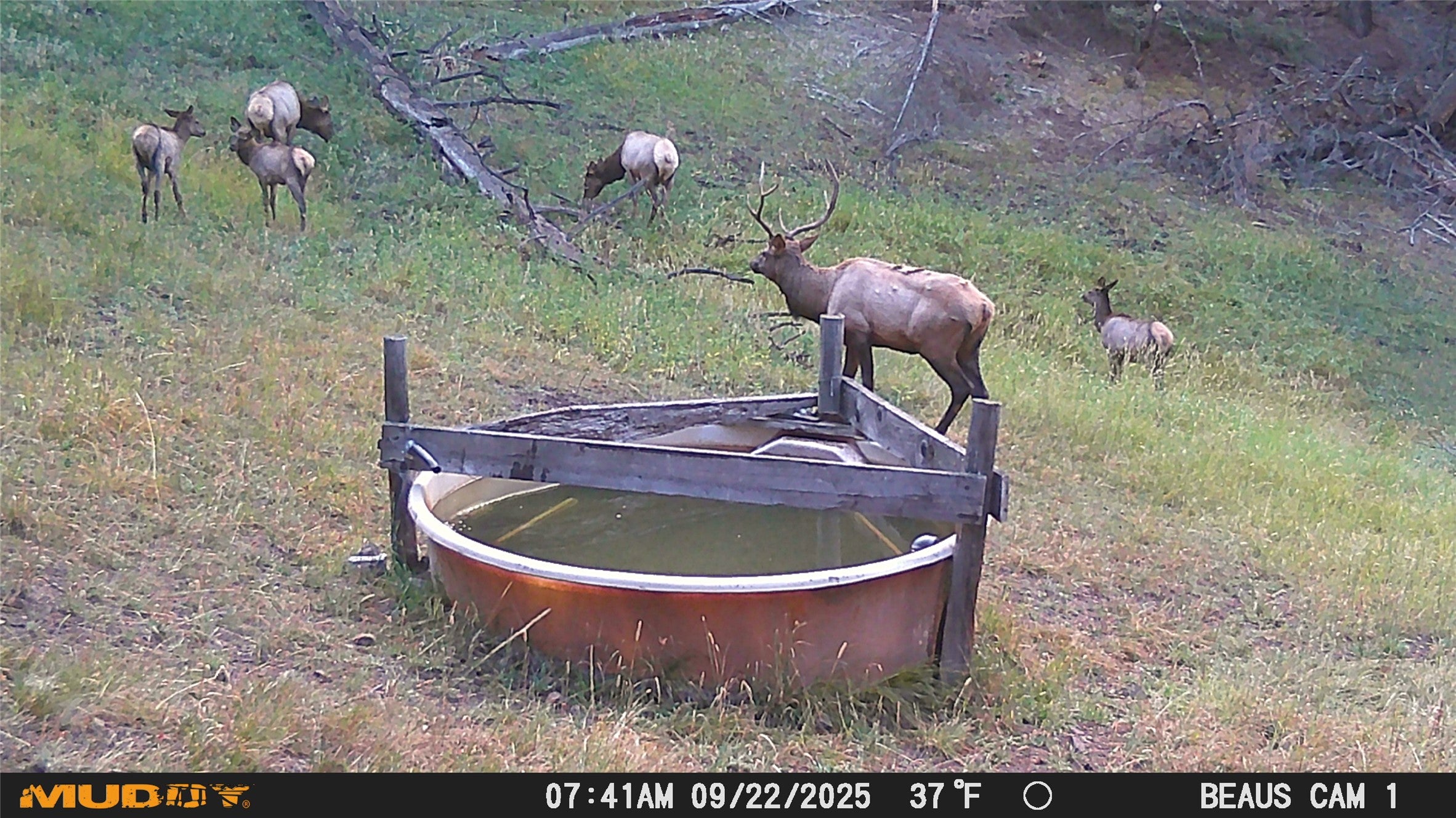 Lot 7 Ruby Mine Road Butte, MT 59701 - Photo 23 of 25 Gallery Image 23