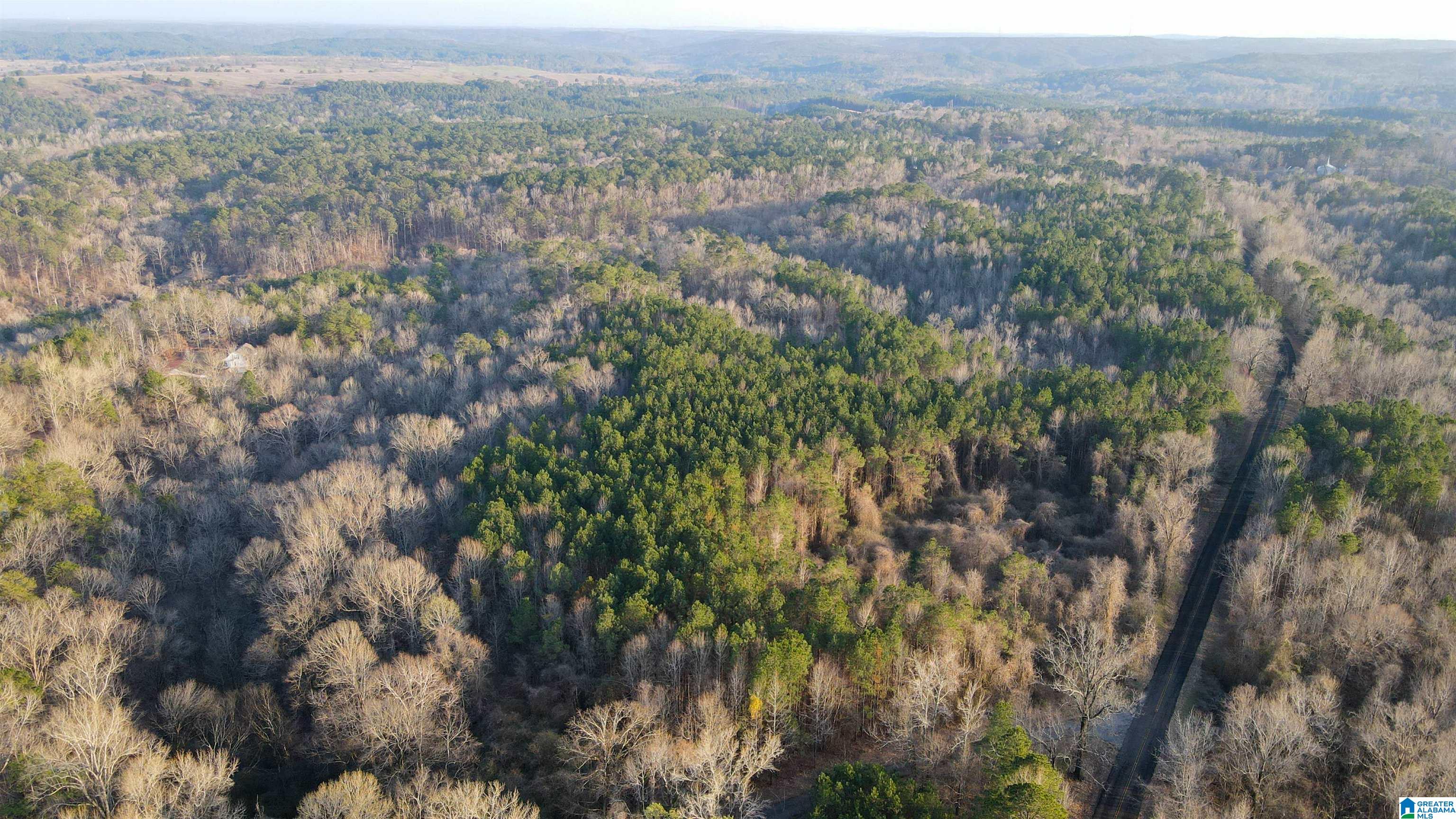 2327 Jett Town Road Mulga, AL 35118 - Photo 1 of 33