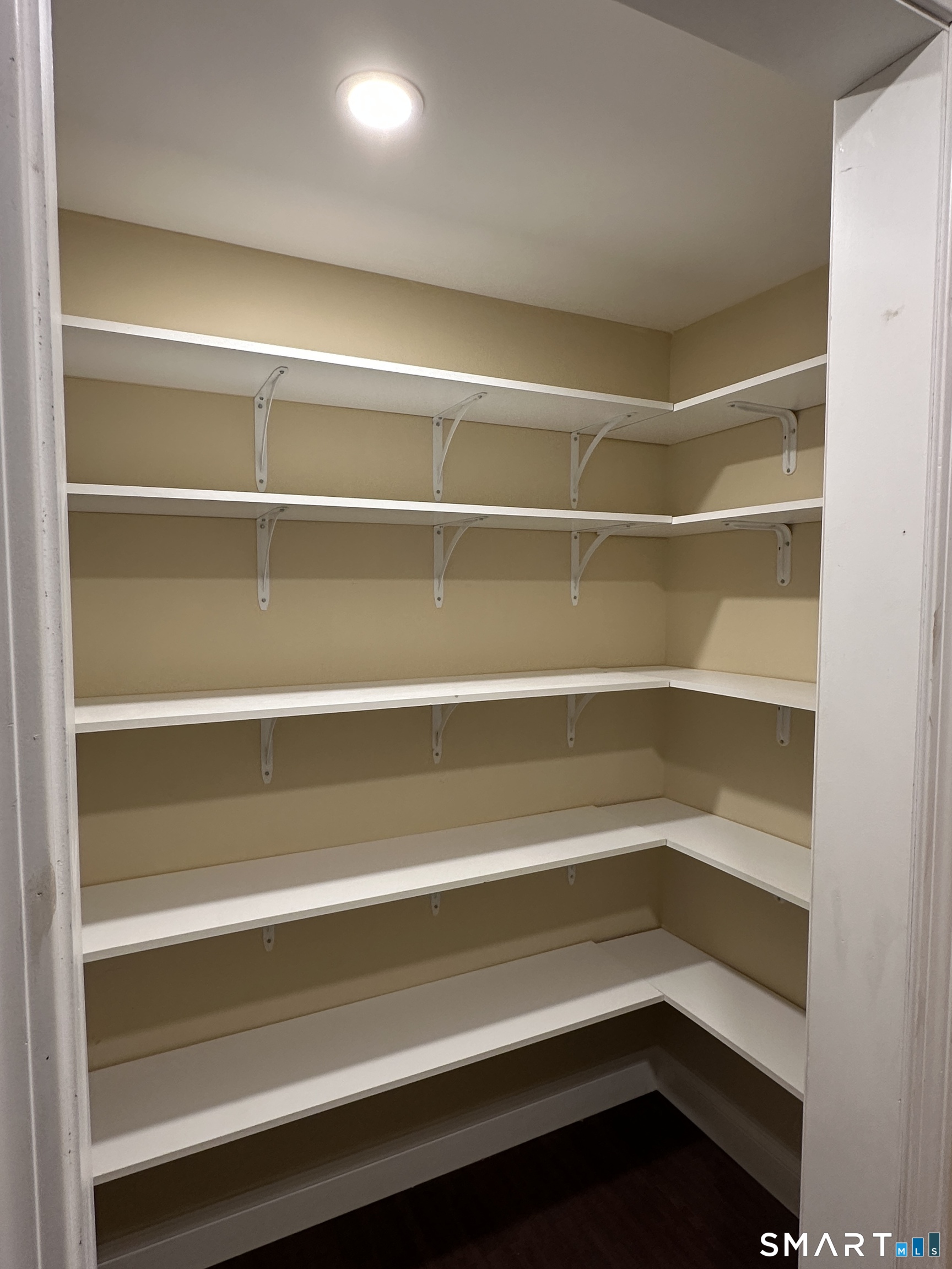 19 Evergreen Drive Clinton, CT 06413 - Photo 7 of 30 a view of walk in closet with empty racks