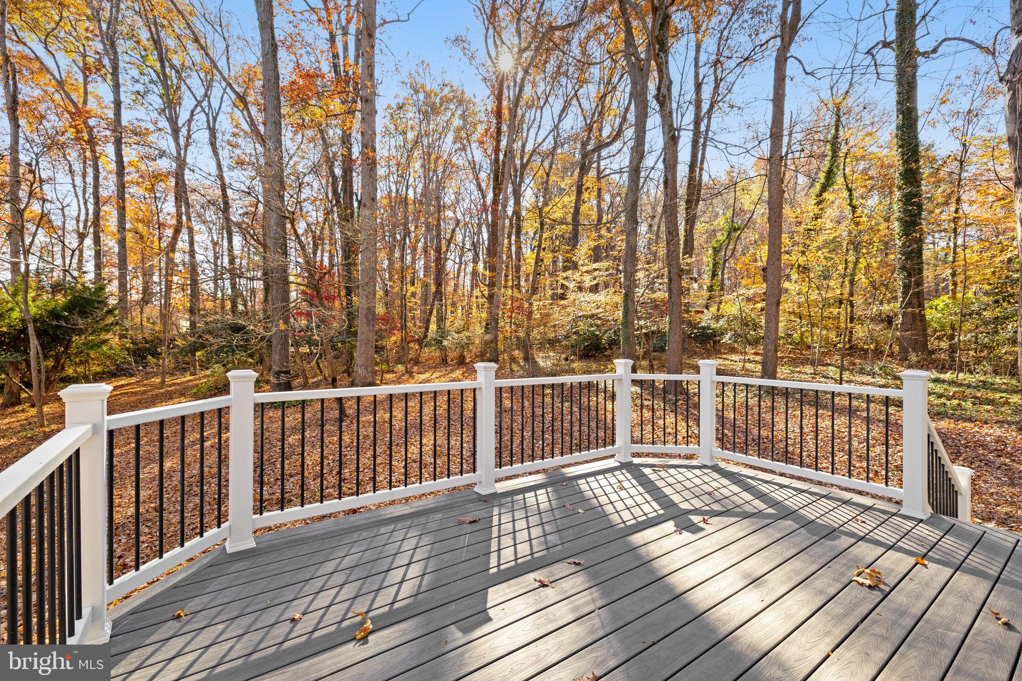 13025 Compton Road Clifton, VA 20124 - Photo 60 of 81 Gallery Image 60