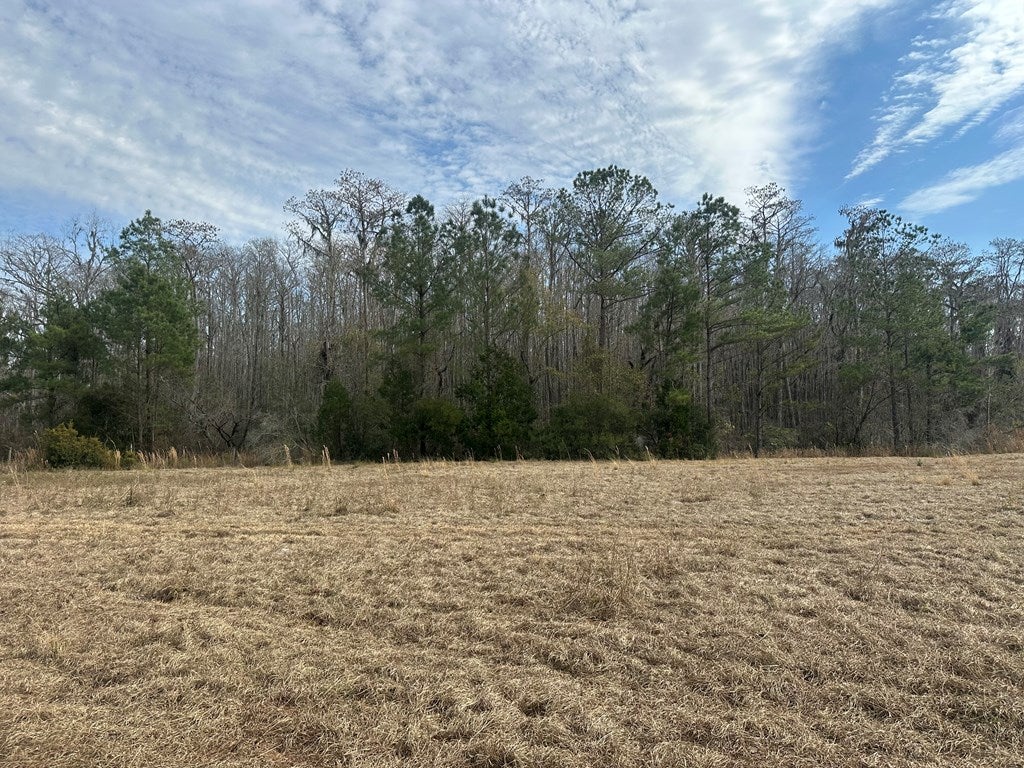 0 Old Keller Road Valdosta, GA 31601 - Photo 22 of 23 Gallery Image 22