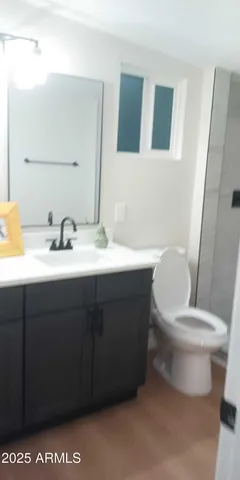 a bathroom with a sink a toilet and mirror
