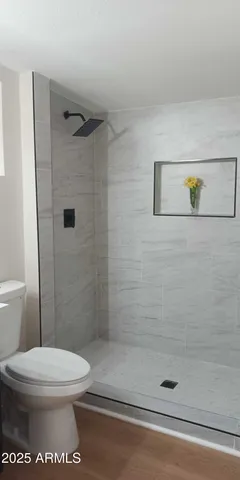 a bathroom with a toilet and a shower