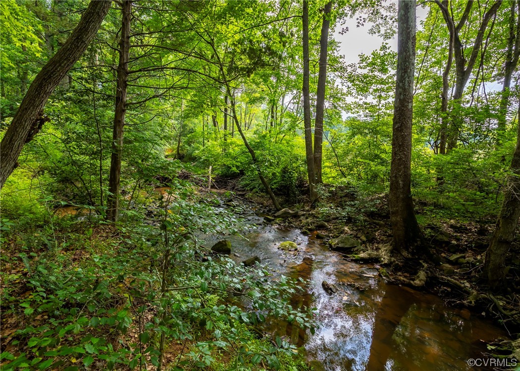 2781 Three Bridge Road Powhatan, VA 23139 - Photo 46 of 50 Gallery Image 46