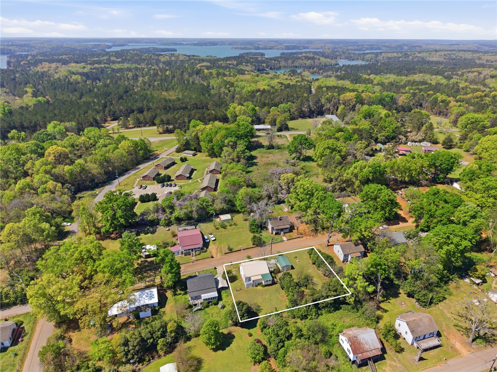 618 Aiken Street Calhoun Falls, SC 29628 - Photo 17 of 21 This elevated perspective captures the expansive landscape with its serene waterfront.