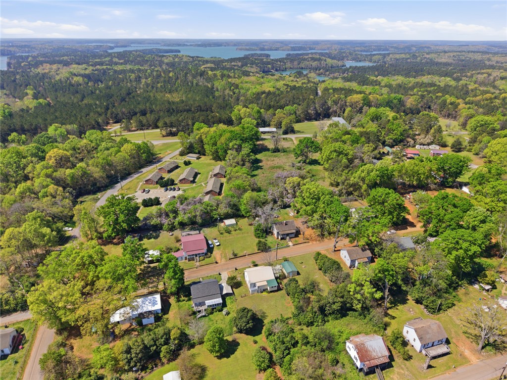 618 Aiken Street Calhoun Falls, SC 29628 - Photo 18 of 21 View this expansive rural landscape, featuring serene homes nestled amidst lush greenery and distant waters.