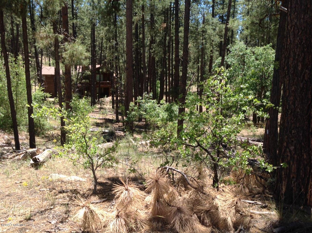 3190 West Copper Basin Road Prescott, AZ 86303 - Photo 5 of 6 untitled2