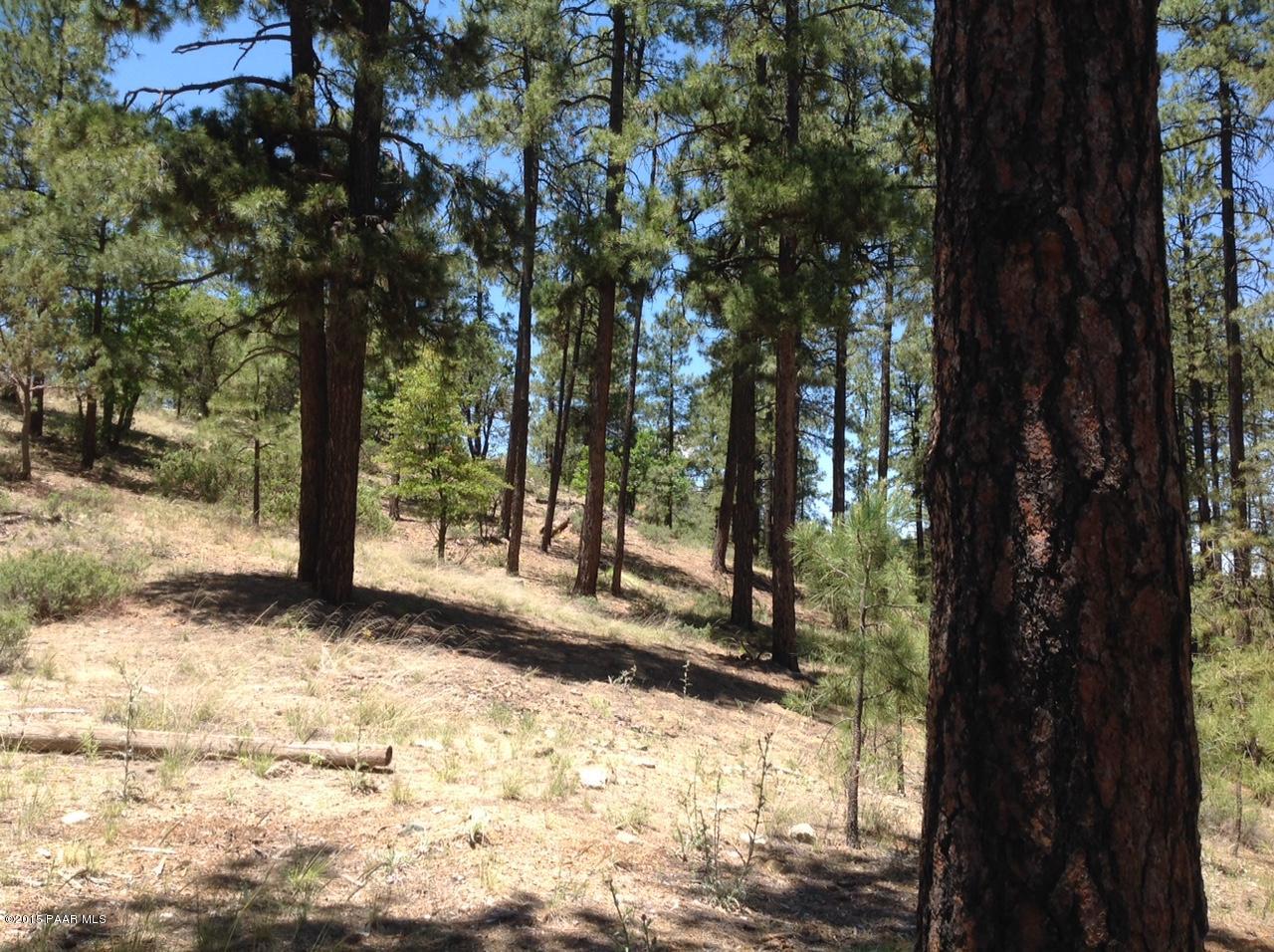 3190 West Copper Basin Road Prescott, AZ 86303 - Photo 6 of 6 untitled3