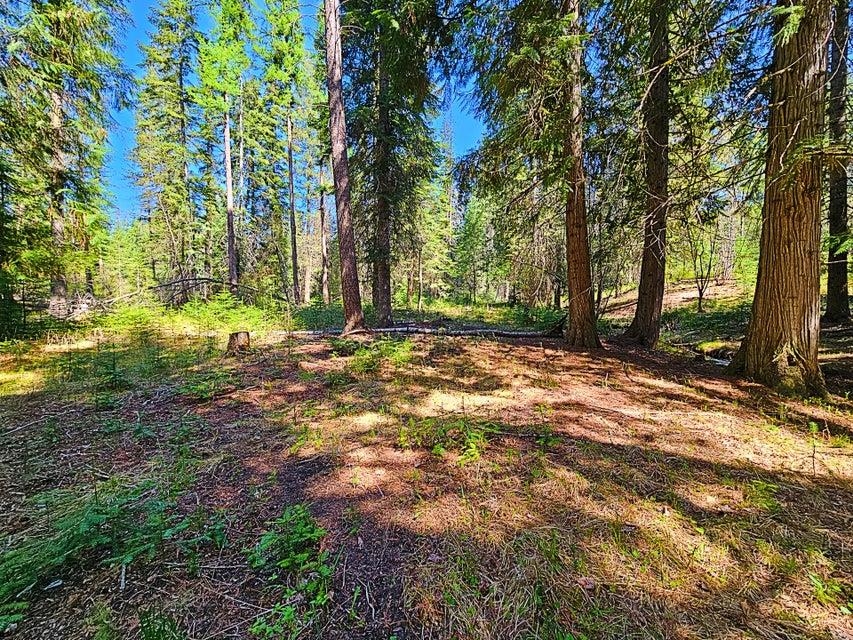 1073 Starvation Lake Road Colville, WA 99114 - Photo 27 of 29