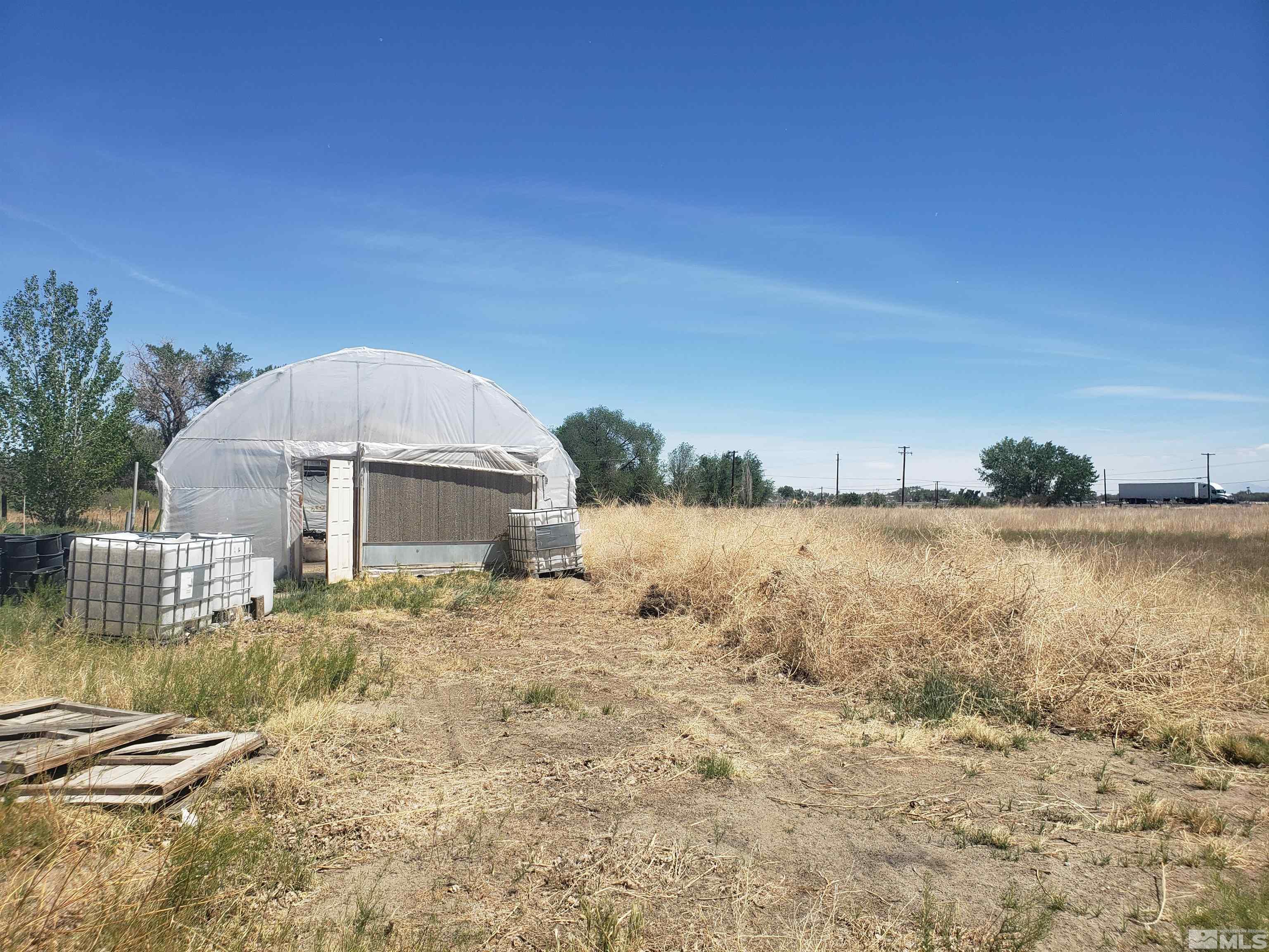 4044 Schurz Highway Fallon, NV 89406 - Photo 14 of 29 a large tree with lake view