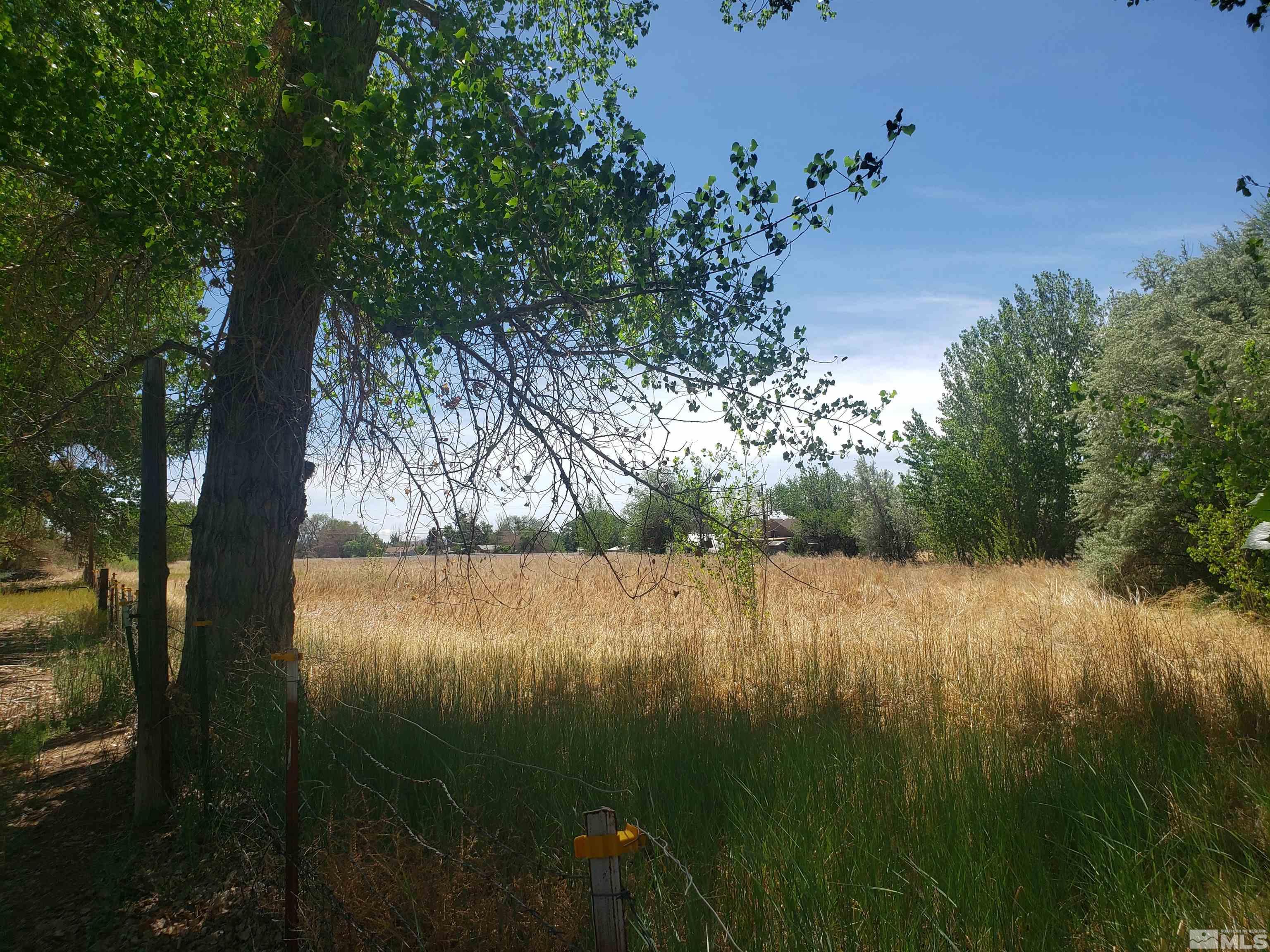 4044 Schurz Highway Fallon, NV 89406 - Photo 18 of 29 a view of lake with green space
