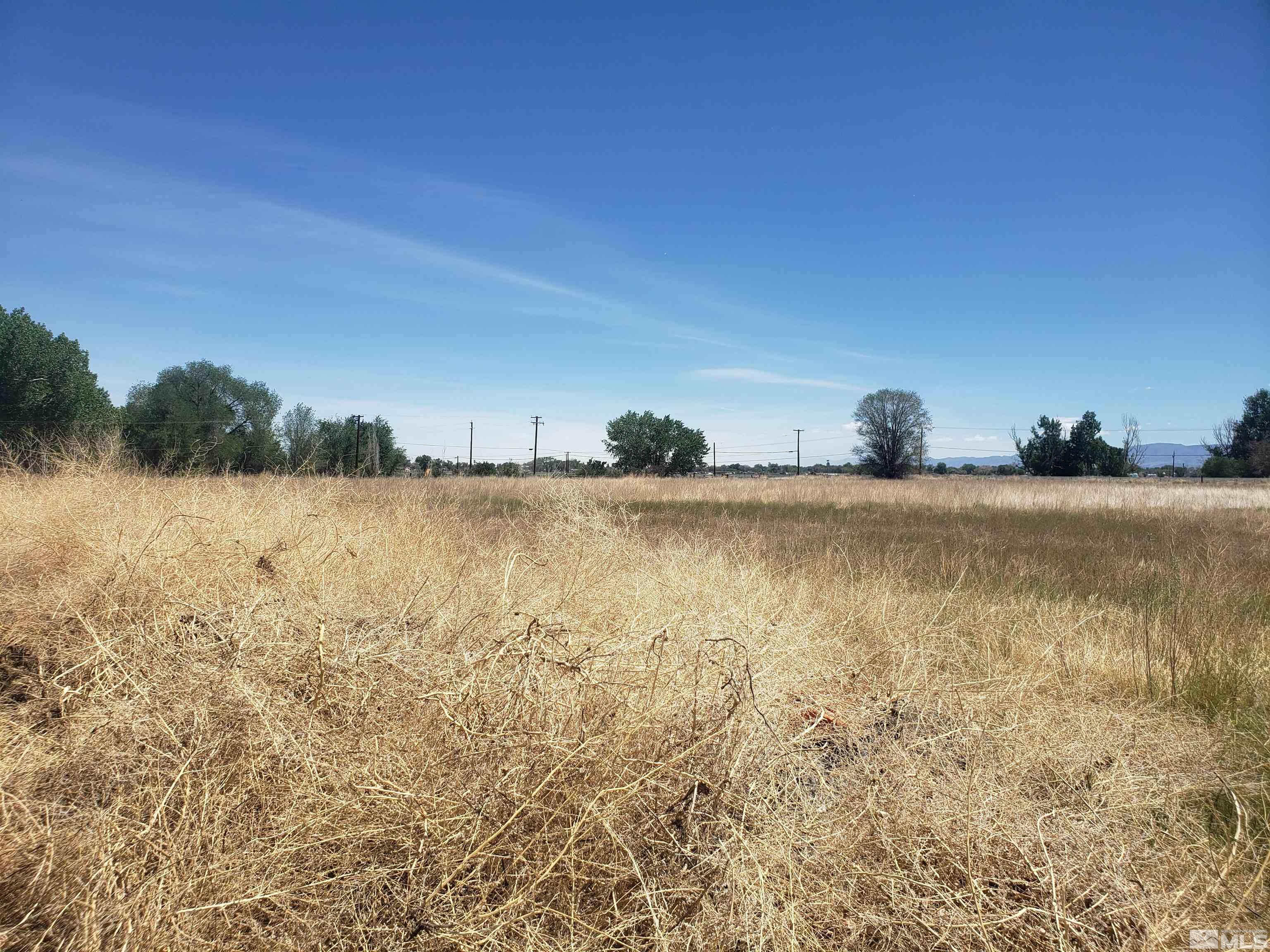 4044 Schurz Highway Fallon, NV 89406 - Photo 22 of 29