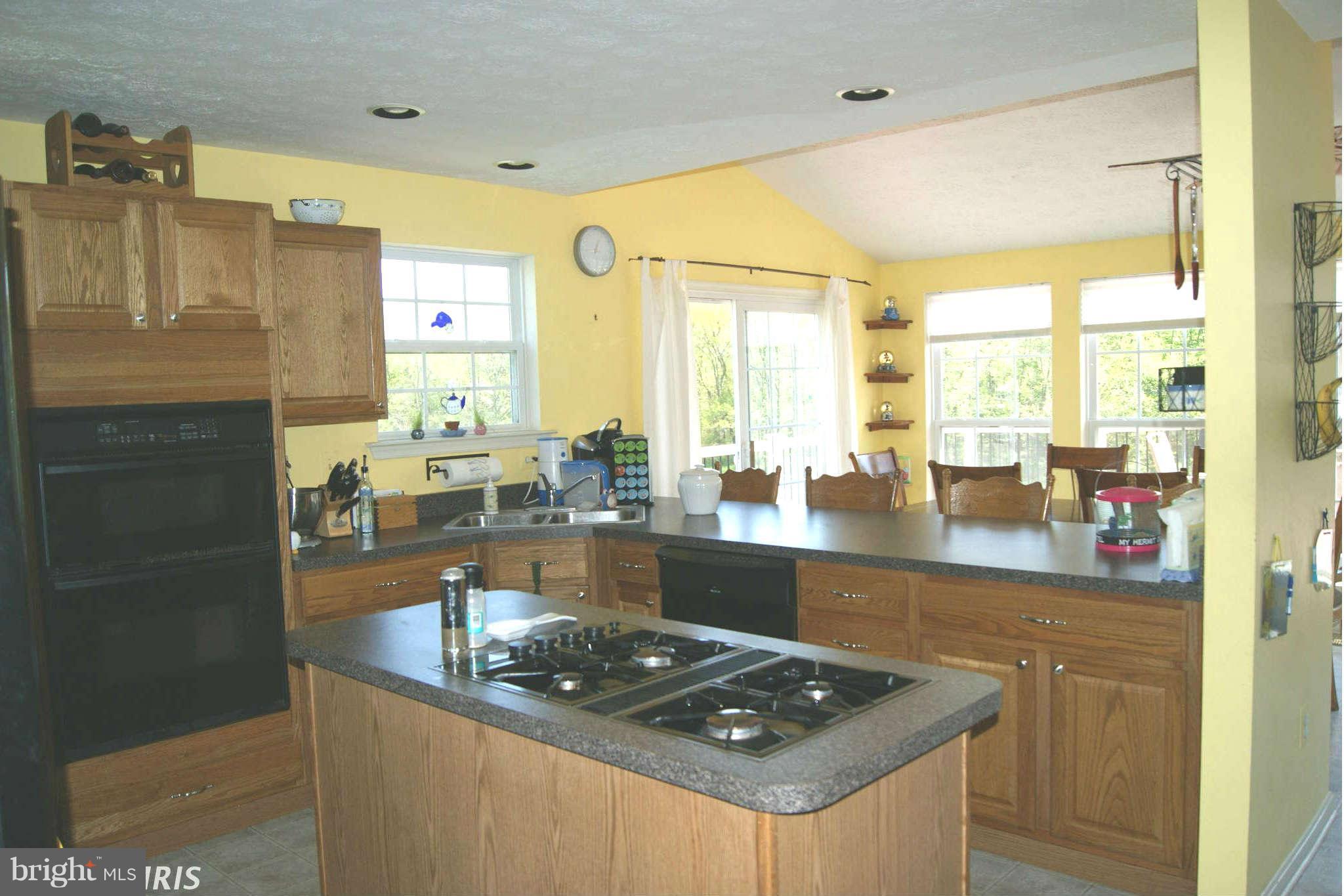 255 Manchester Drive Rising Sun, MD 21911 - Photo 3 of 29 Kitchen
