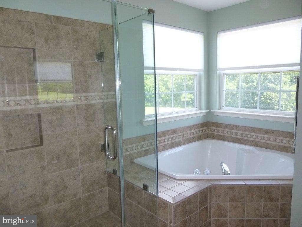 255 Manchester Drive Rising Sun, MD 21911 - Photo 6 of 29 Bath Master