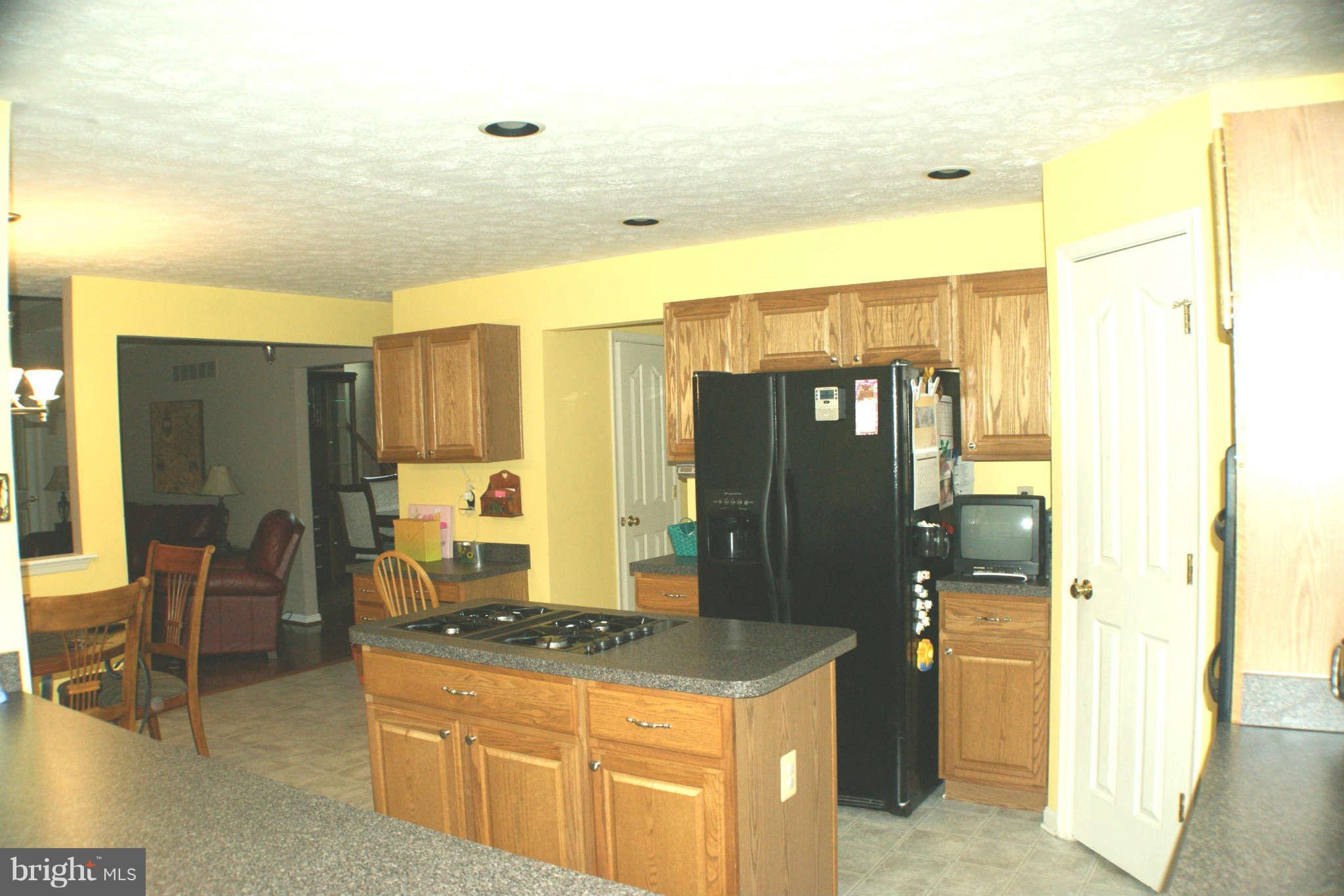 255 Manchester Drive Rising Sun, MD 21911 - Photo 9 of 29 Kitchen