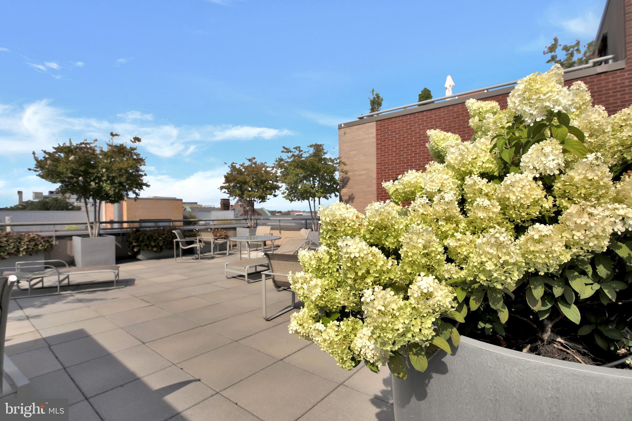 1440 Church Street Northwest, Unit 304 Washington, DC 20005 - Photo 29 of 33