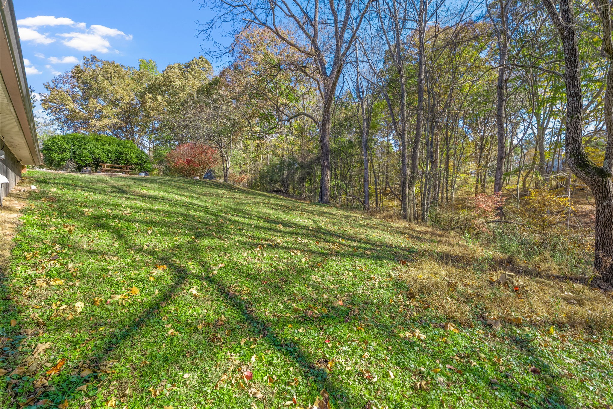 389 Harper Road Clarksville, TN 37043 - Photo 6 of 42