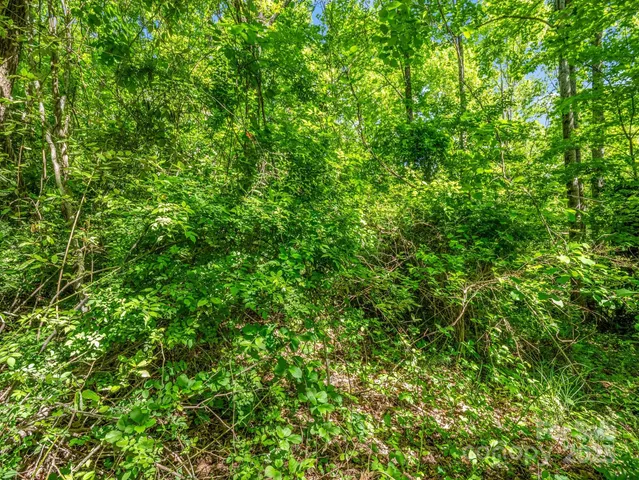 $38,500 | 88 Hamilton Acrs Drive, Hendersonville, NC 28791