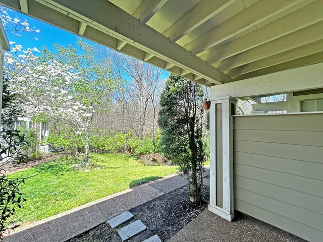 a view of a backyard with plants
