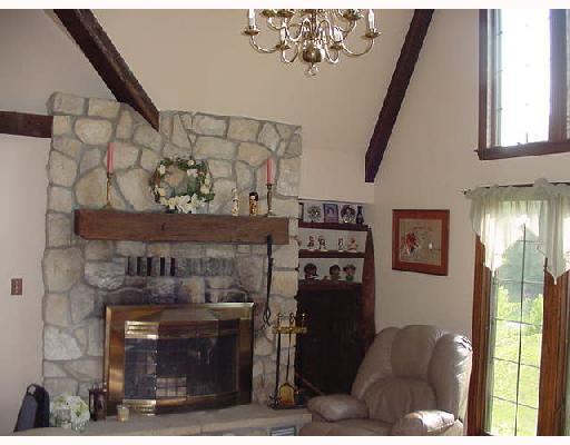20 Reese Road Washington, PA 15301 - Photo 4 of 8 Living Room. Living room with vaulted beamed ceilings and log burning fireplace ..lots of natural light from the french doors and 2nd story windows.