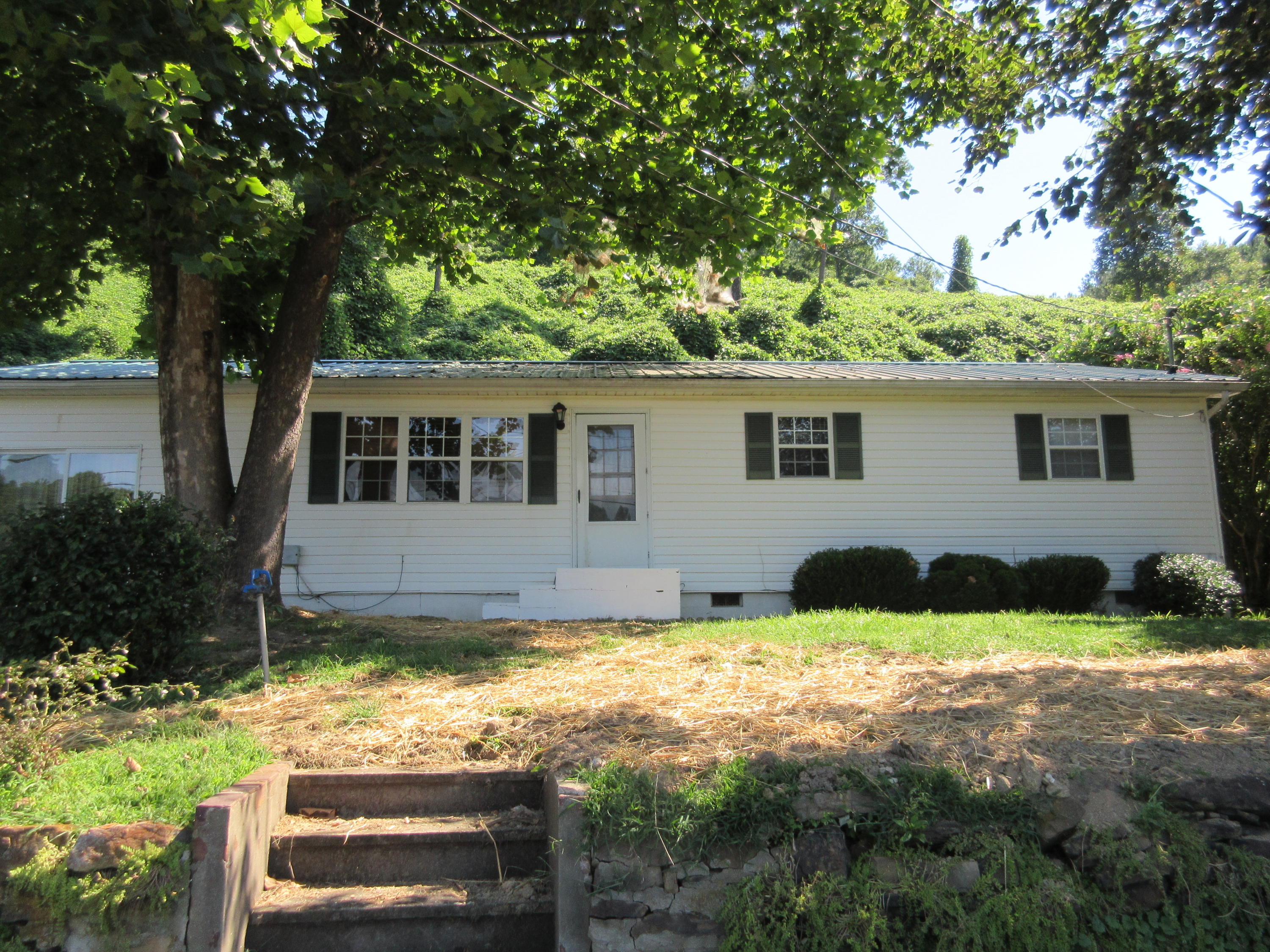 314 Hillside Road Oakdale, TN 37829 - Photo 26 of 28 IMG_4619