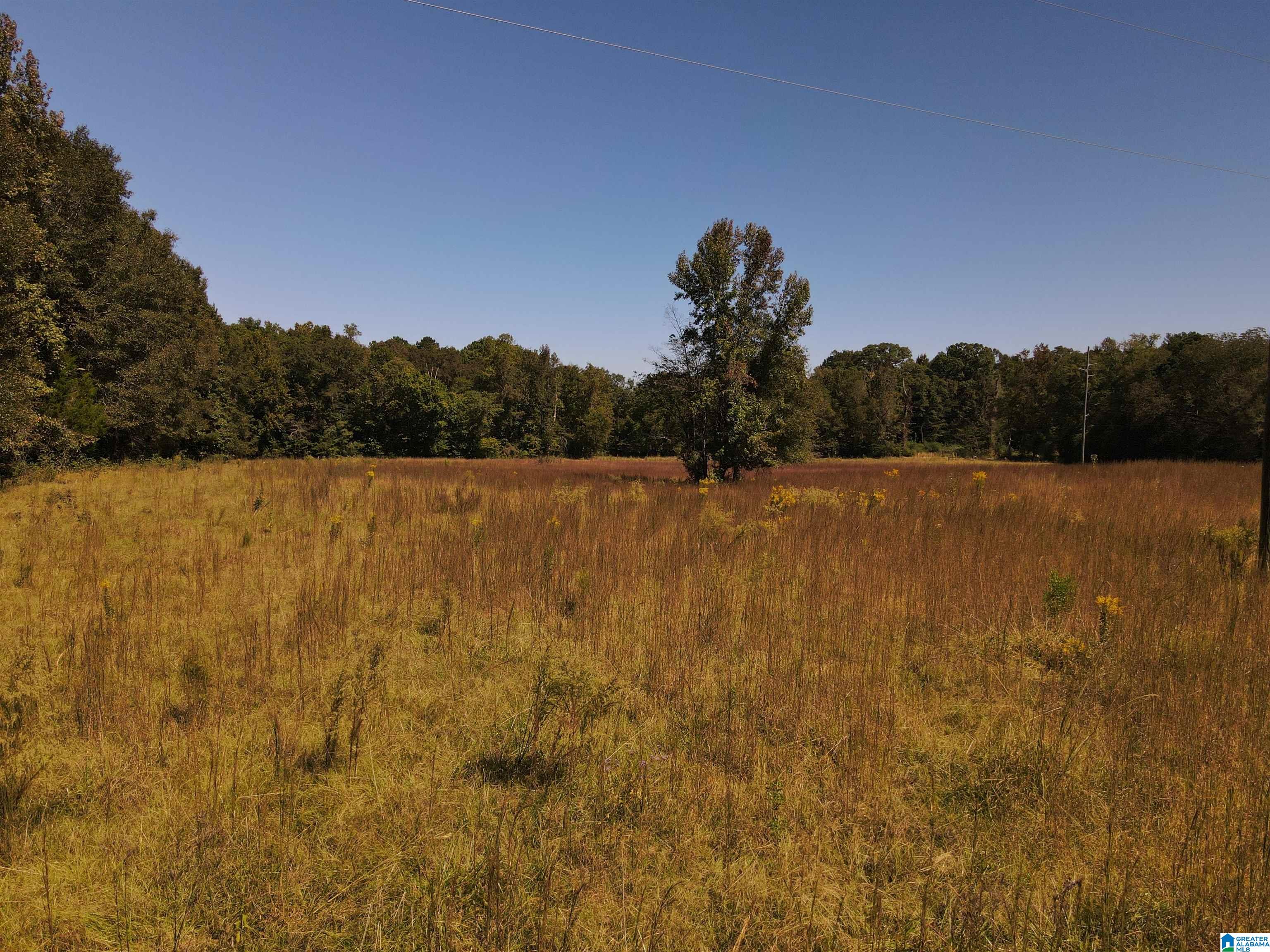 263 Pebble Road Montevallo, AL 35115 - Photo 49 of 50
