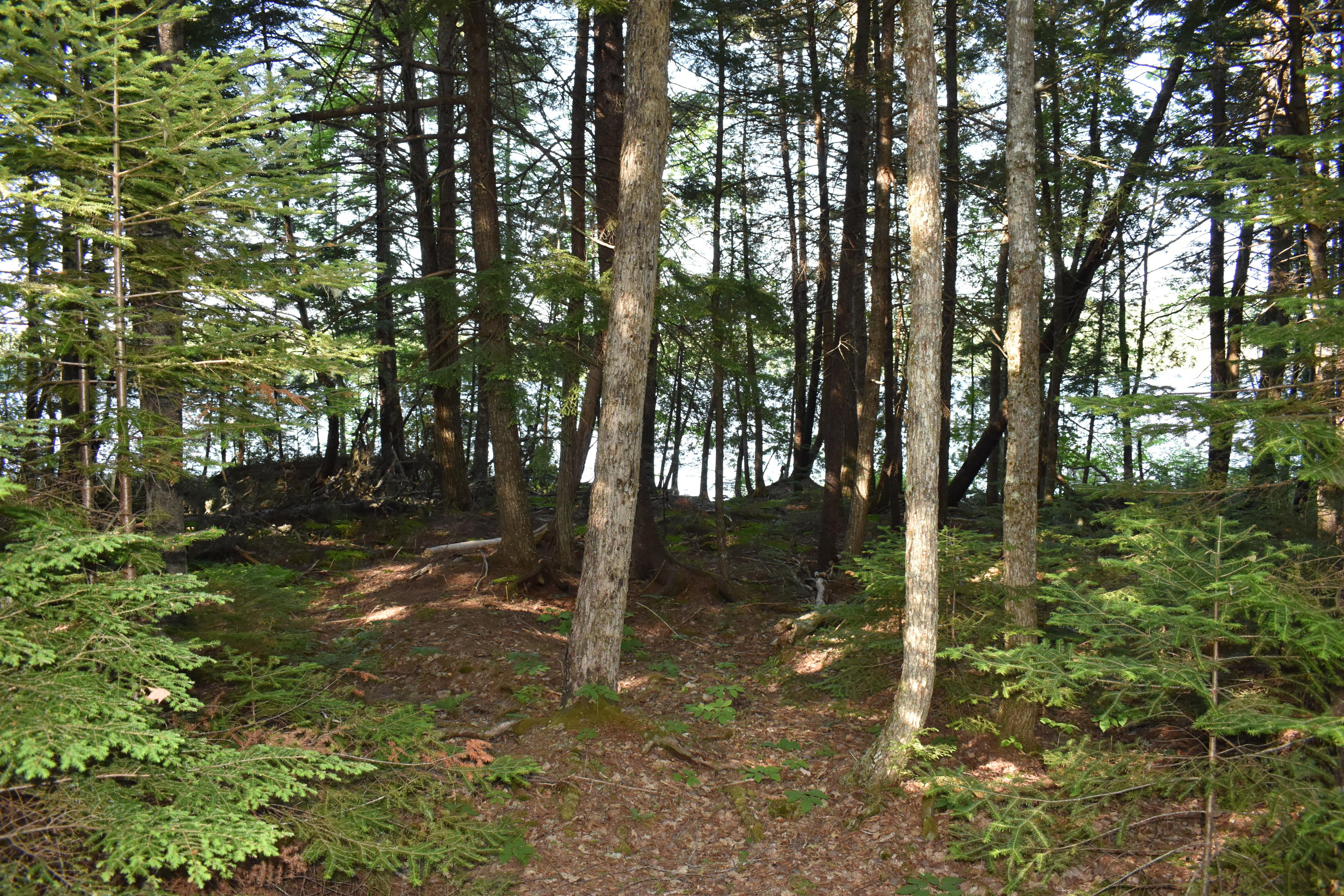 Tbd Lot Tbd Road Lakeville, ME 04487 - Photo 31 of 31 DSC_0487