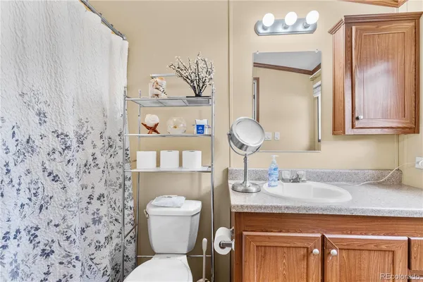 a bathroom with a toilet a sink and a mirror