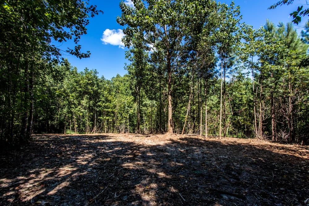 1 Rockfish River Road Faber, VA 22938 - Photo 4 of 7 Gallery Image 4