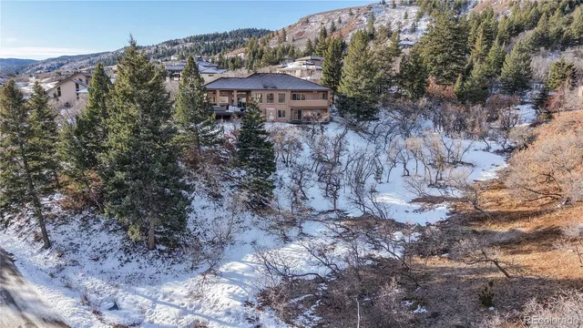 a view of a forest with a yard