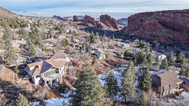 a view of a large tree