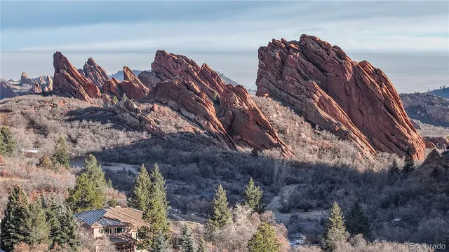 a view of a bunch of trees and bushes