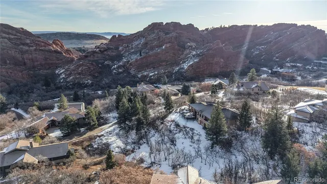 a view of a large tree